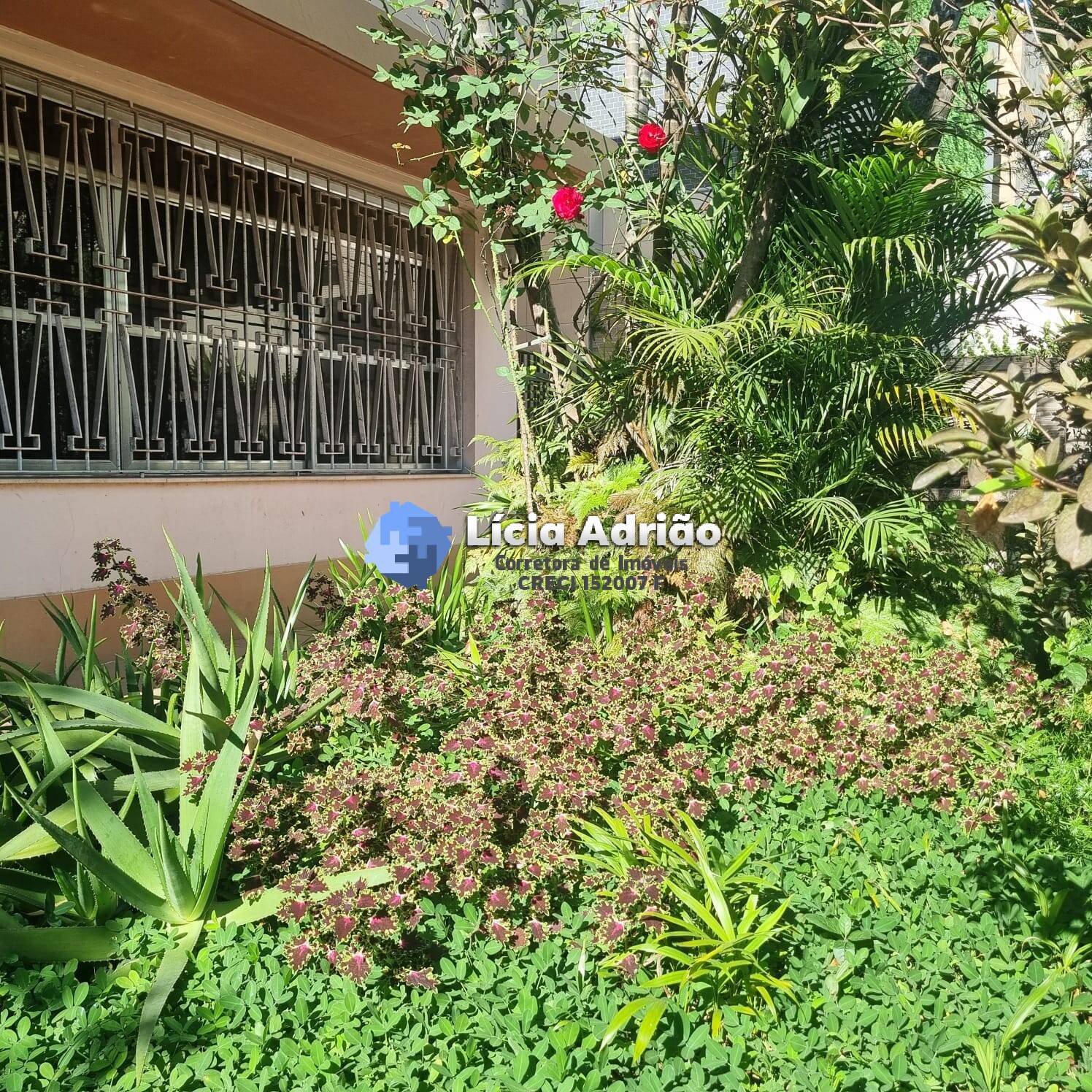 Sobrado, 4 quartos, 132 m² - Foto 3
